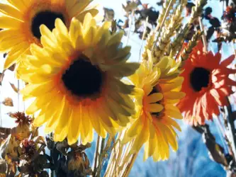 Artificial Flowers Red And Yellow Sunflowers