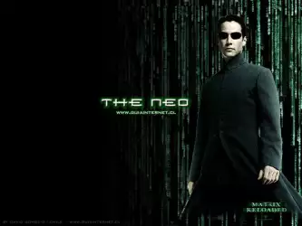 Matrix Reloaded - Neo