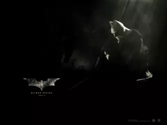 Batman Begins 002