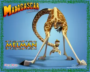 Madagascar 004