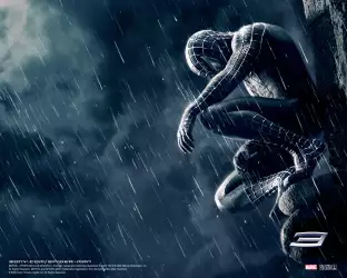 Spiderman 3 001