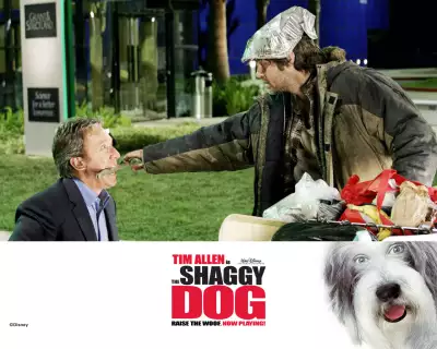 The Shaggy Dog 003