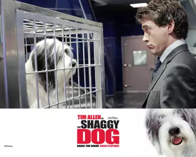 The Shaggy Dog 005