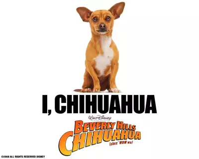 Beverly Hills Chihuahua 002