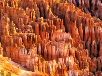 Hoodoos Formations, Bryce Canyon, Utah 1600x12