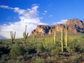 Superstition Mountains, Tonto National Forest, A