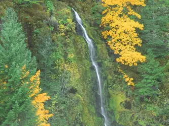 Terwilliger Hot Springs Fall, Oregon