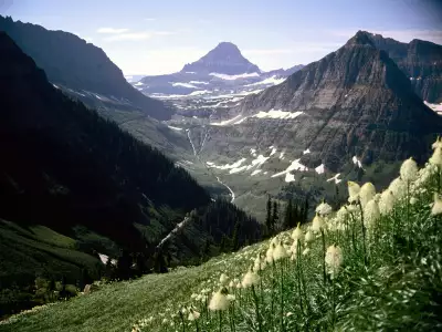 Mount Reynolds, Glacier National Park, Montana