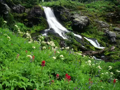 Wildflowers And Cool Waters, Mount Adams, Washington