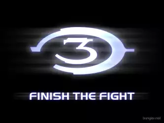 Finish The Fight