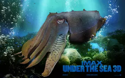 Under The Sea - IMAX