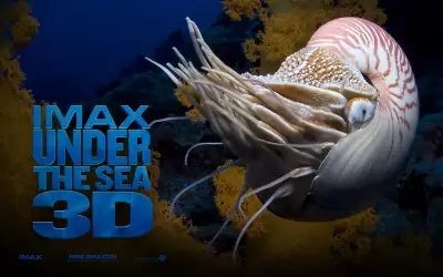 IMAX Under The Sea 3D