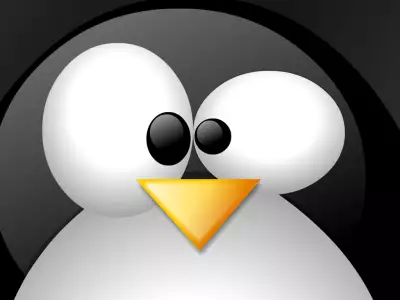 Linux Pingi