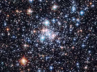 Magellanic Gemstone In The Southern Sky