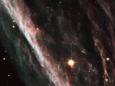 Supernova Shock Wave Paints Cosmic Portrait