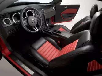 Shelby Cobra GT500 Mustang 008