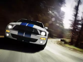 Shelby Cobra GT500 Mustang front view showcasing automotive power and iconic design