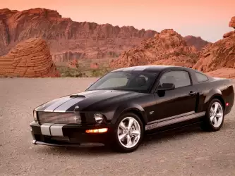 Shelby GT 001