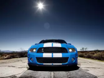 Shelby GT500 2010 03
