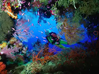 Soft Coral Embellished Cave Fiji