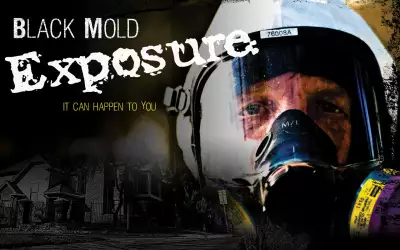 Black Mold Exposure
