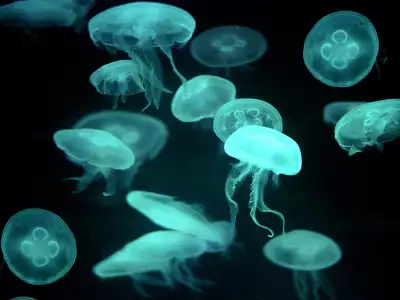 Drifters Jellyfish