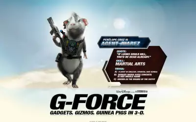 G Force Juarez