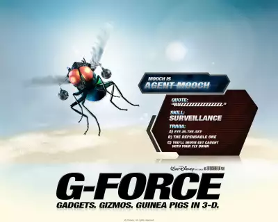 G Force Mooch