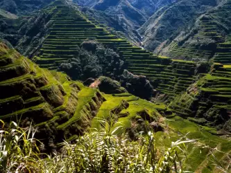 Ancient Rice Terraces Philippines