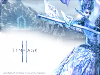 Lineage II 50h