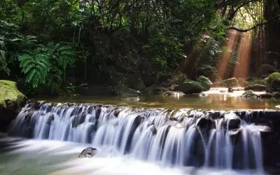 Beauty Waterfall