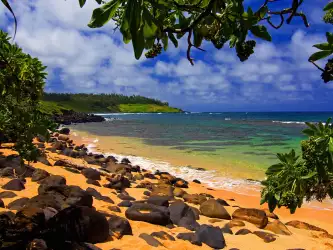 Beach Shade Moloaa Kauai Hawaii