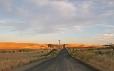 Long And Straight Road