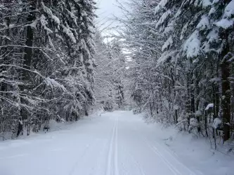 Snow Road: A Winter Wonderland Drive