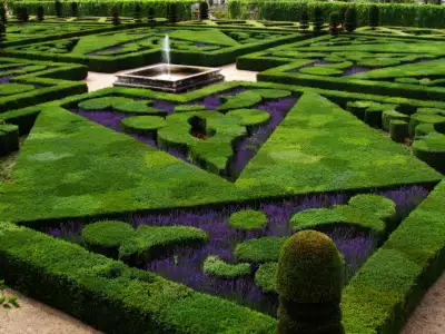French Formal Garden In Loire Valley