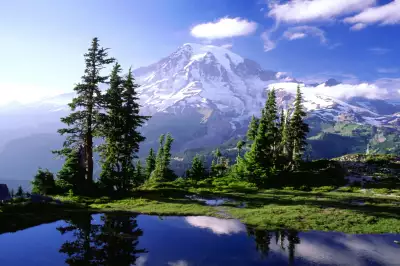Hidden Lake In Mount Rainier National Park Washington
