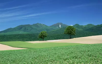 Hokkaido Field