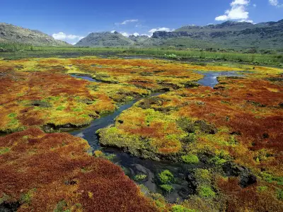 Colorful Mosses Cedarberg Wilderness Area Northern Cape South Africa
