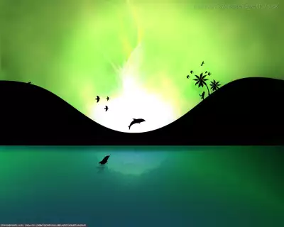 Dolphin in Sea