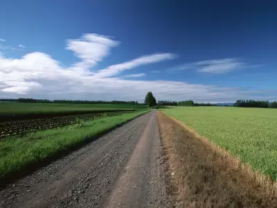 Field with road