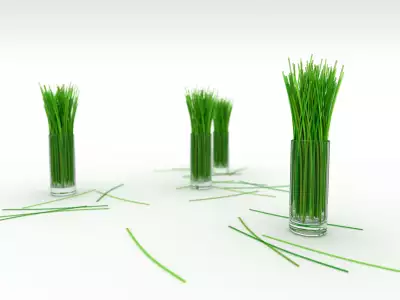 Grass in the Glass