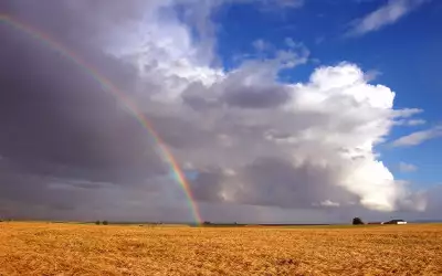 Rainbow on field
