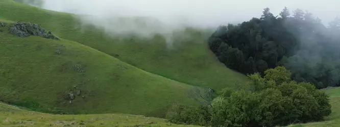 Hills and Fog