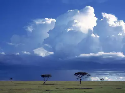 Storm Over The Savannah Masai Mara National Reserve Kenya