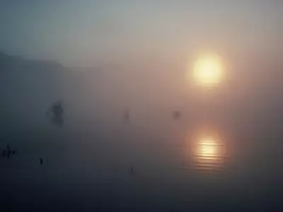 Sunset in Fog