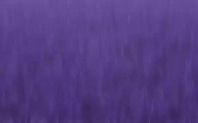  Violet Wall
