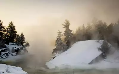 Winter Day with Fog