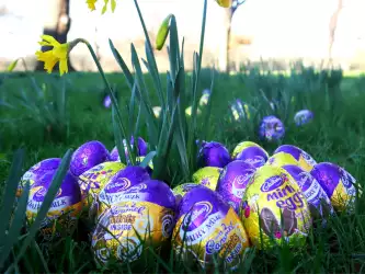 Easter Eggs in the Grass Wallpaper