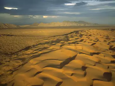 Mexico Desert