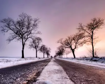 Road on Winter day